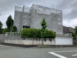 これがクラウン